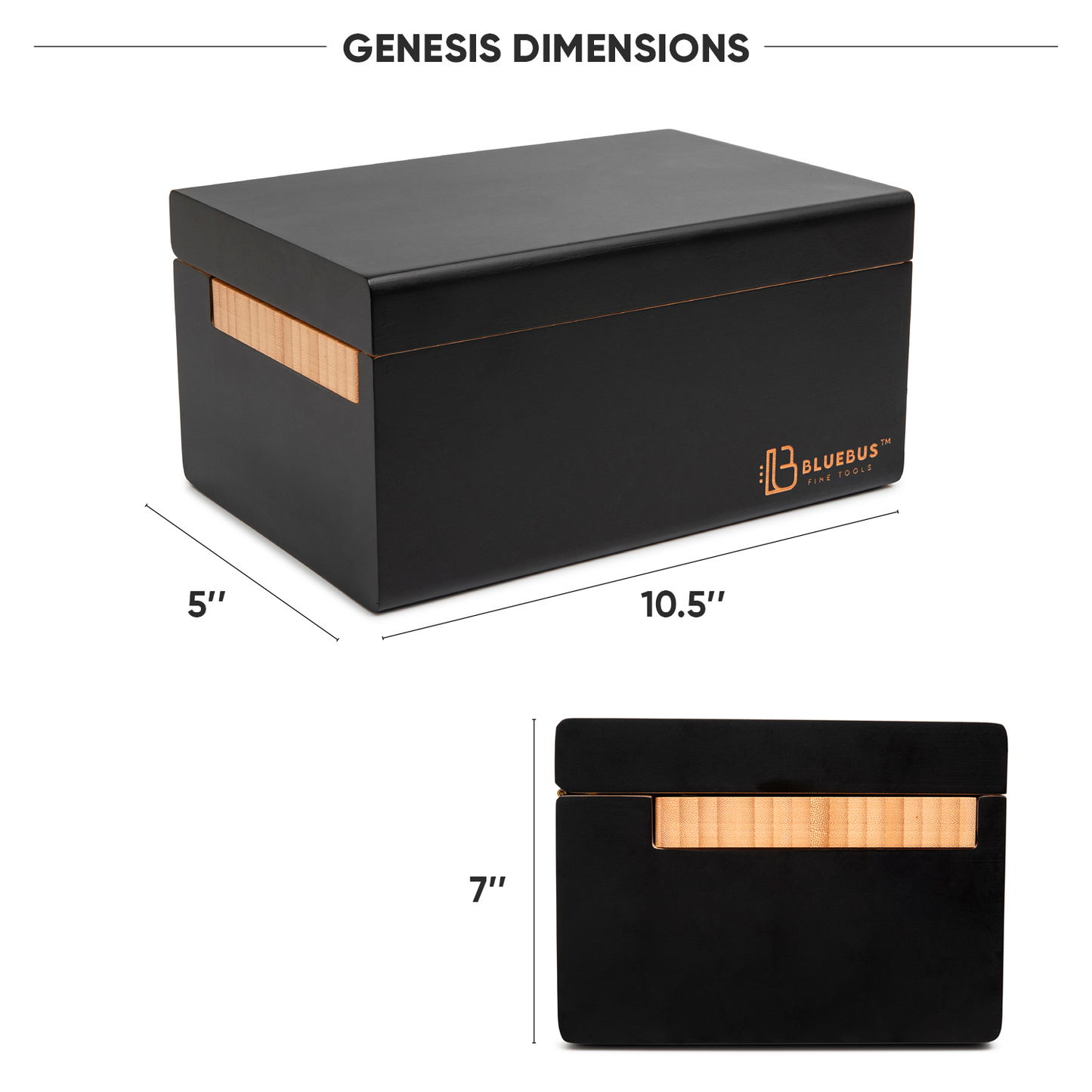 GENESIS storage stash Box (Black)